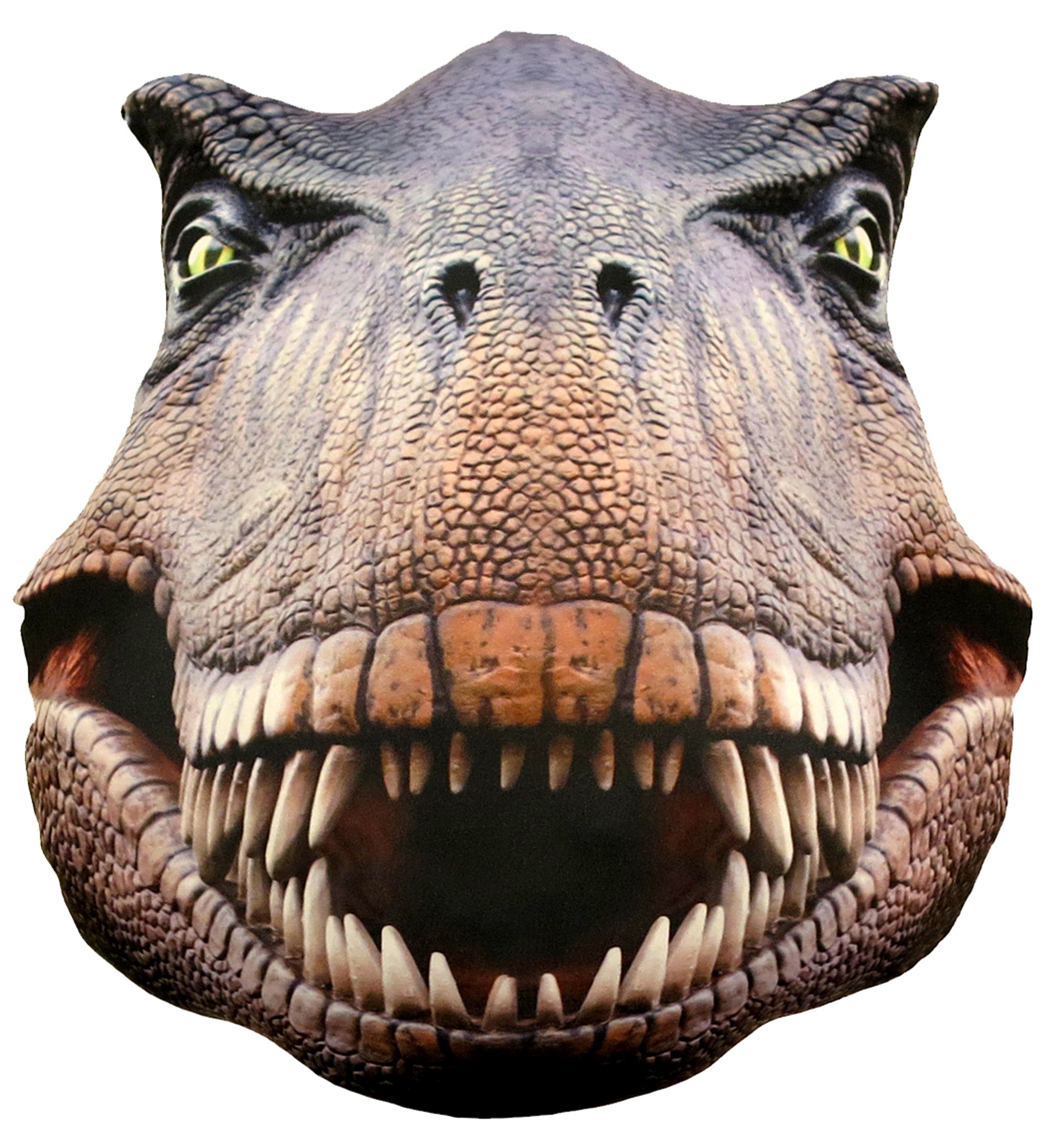 Splat Planet pagalvėlė-suvenyras DINOZAURAS – Pupuliuk.lt