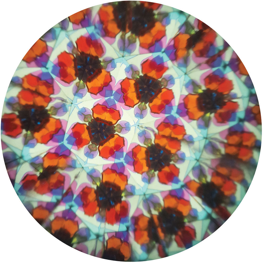 Svoora kaleidoskopas Riteris, 19 cm – Pupuliuk.lt
