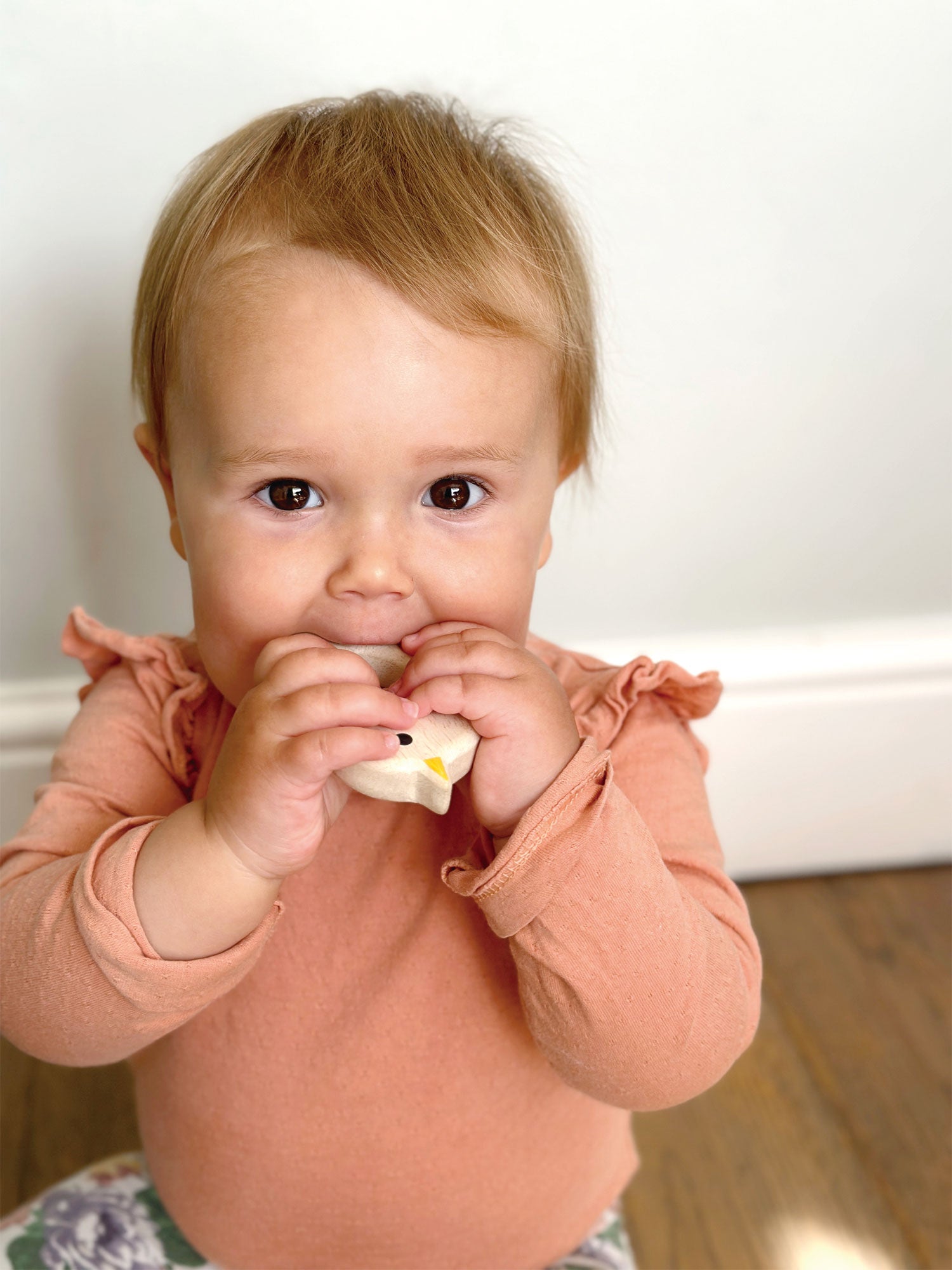 Mentari Dantų kramtukai, Paukštelis ir Katinėlis – Pupuliuk.lt